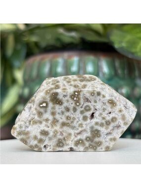 Ocean Jasper Crystal Small Freeform Slab